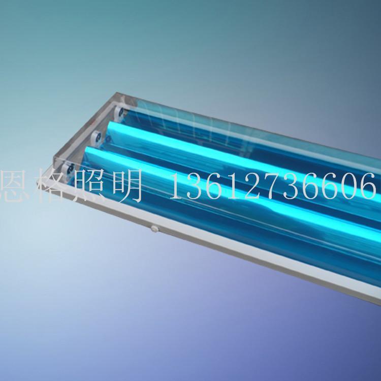 3管直边喷粉净化灯/药厂不锈钢无尘灯