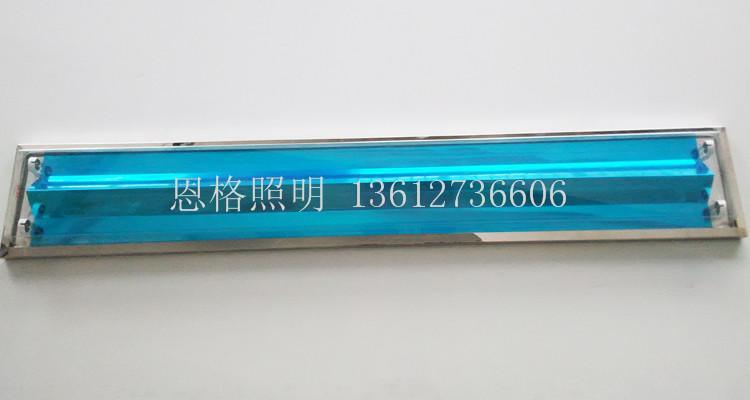 净化灯生产厂家/无尘室用双管净化灯